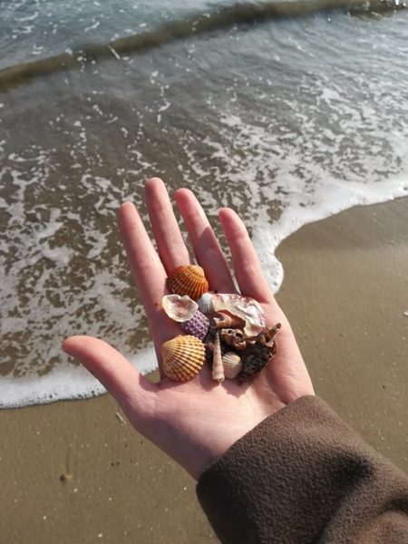 article blog coquillage plage callyhandmade 