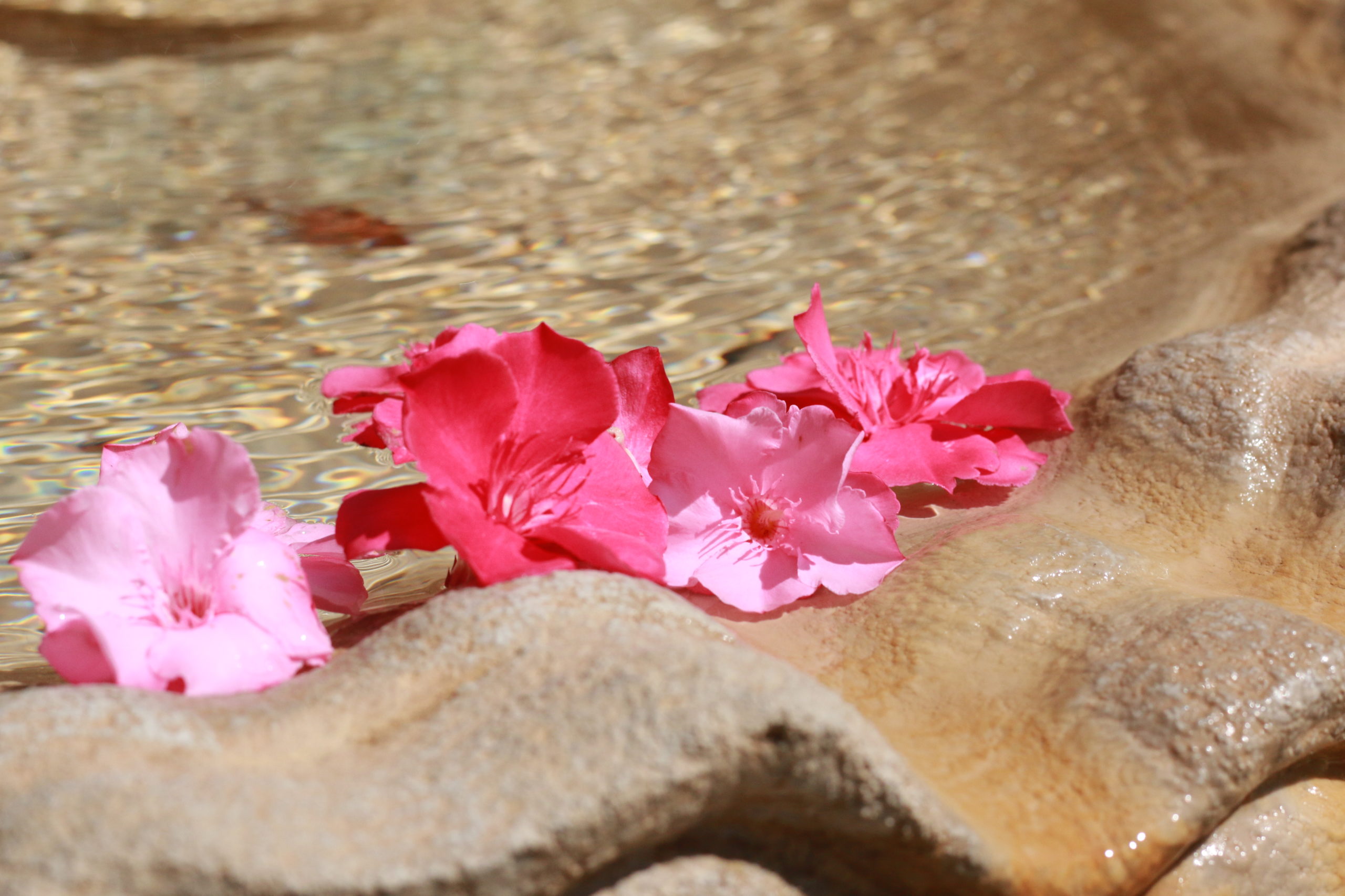 chateau d'o montpellier blog callyhandmade