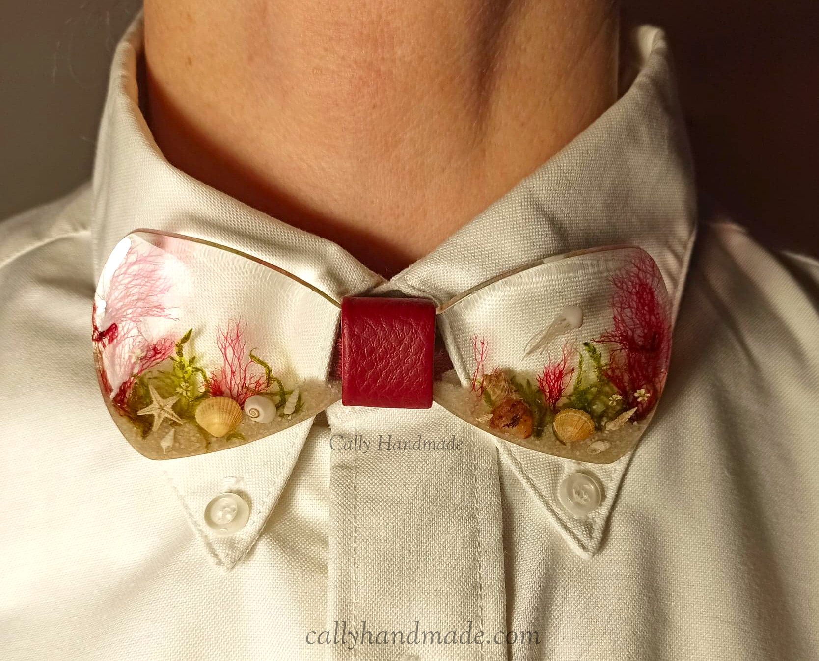 noeud papillon poseidon porté0